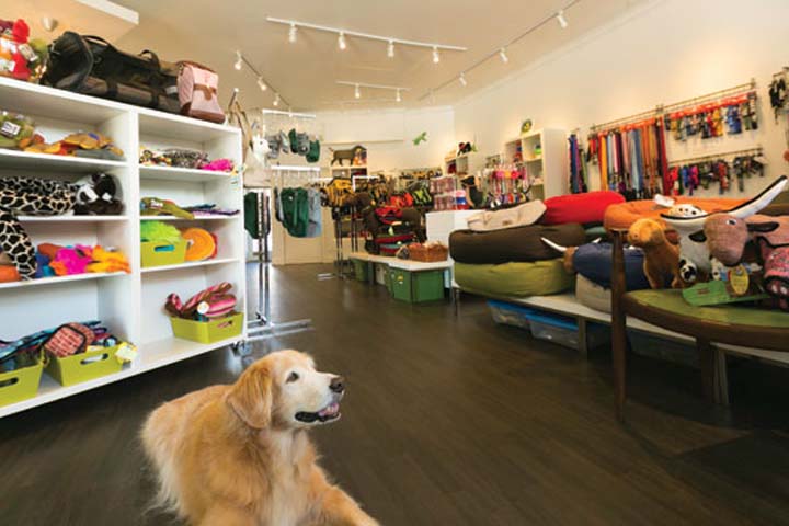 Pet Stores
