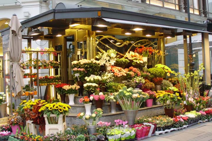 Flower Shops